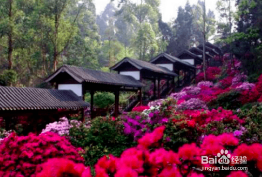 漫山花溪谷一日游攻略