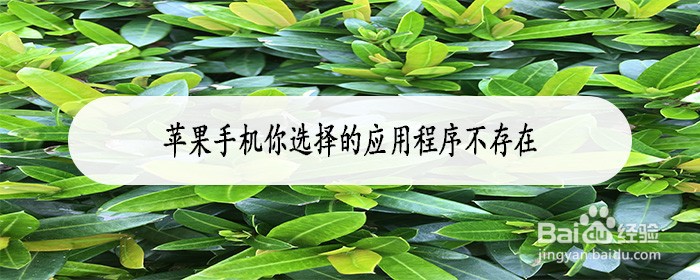 <b>怎么解决苹果手机提示应用程序不存在</b>