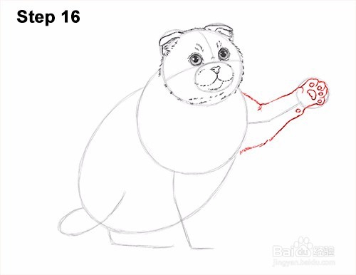 如何画一只猫（苏格兰折）玩——加菲的吃货生活