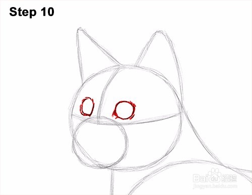如何画一只猫(孟加拉)——加菲的吃货生活