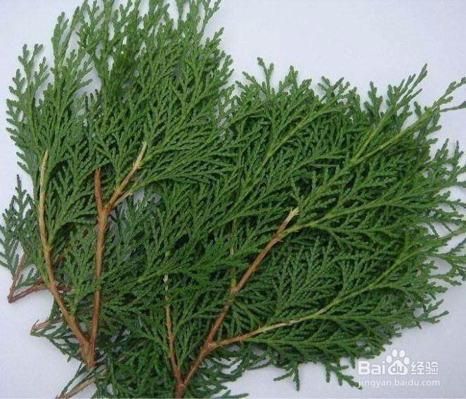 成功生发小秘方