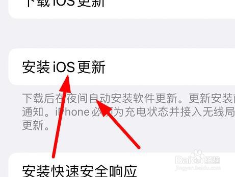 iPhone13如何打开自动更新中安装IOS更新功能