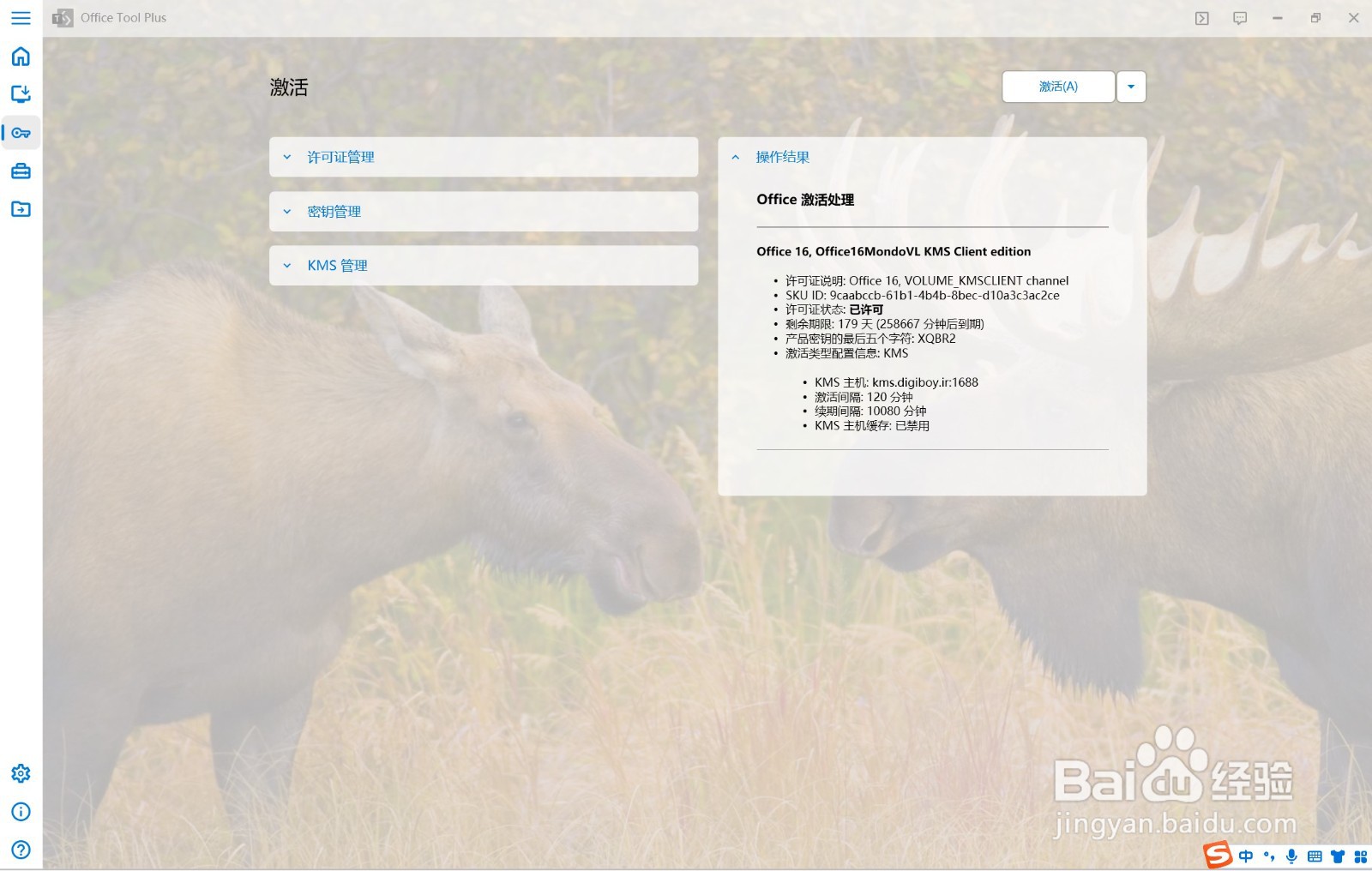 免费安装激活 Microsoft 365 和 Office