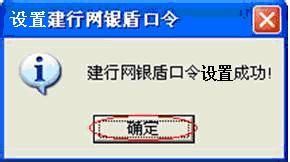 第一次使用二代网银盾