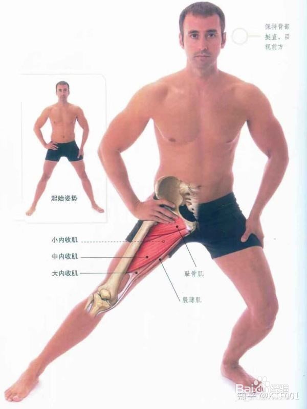 新手如何在健身房健身