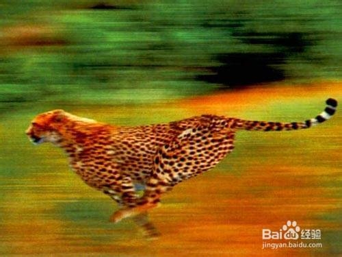 成功的36式：[3]之3剩余篇