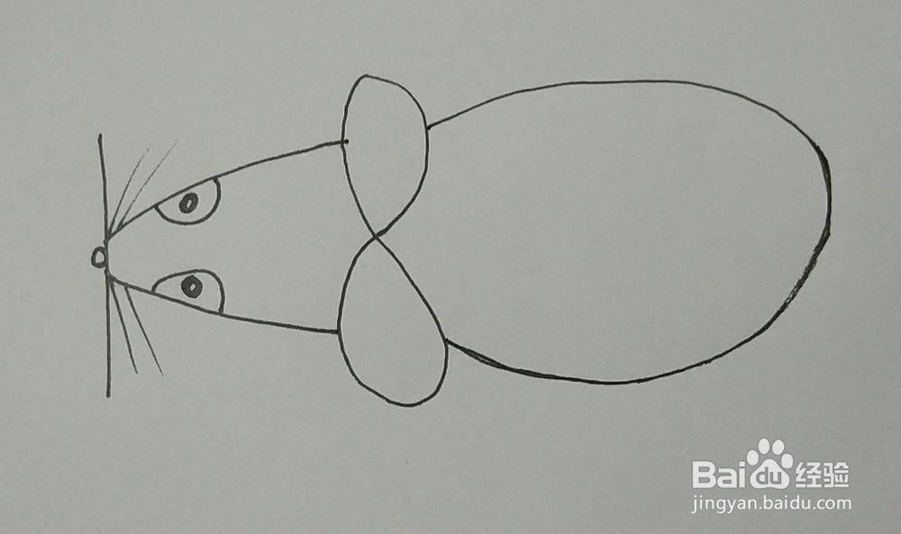 怎样用数字18画老鼠创意简笔画 老鼠简笔画教程