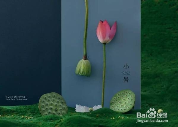 绿豆莲子汤的做法