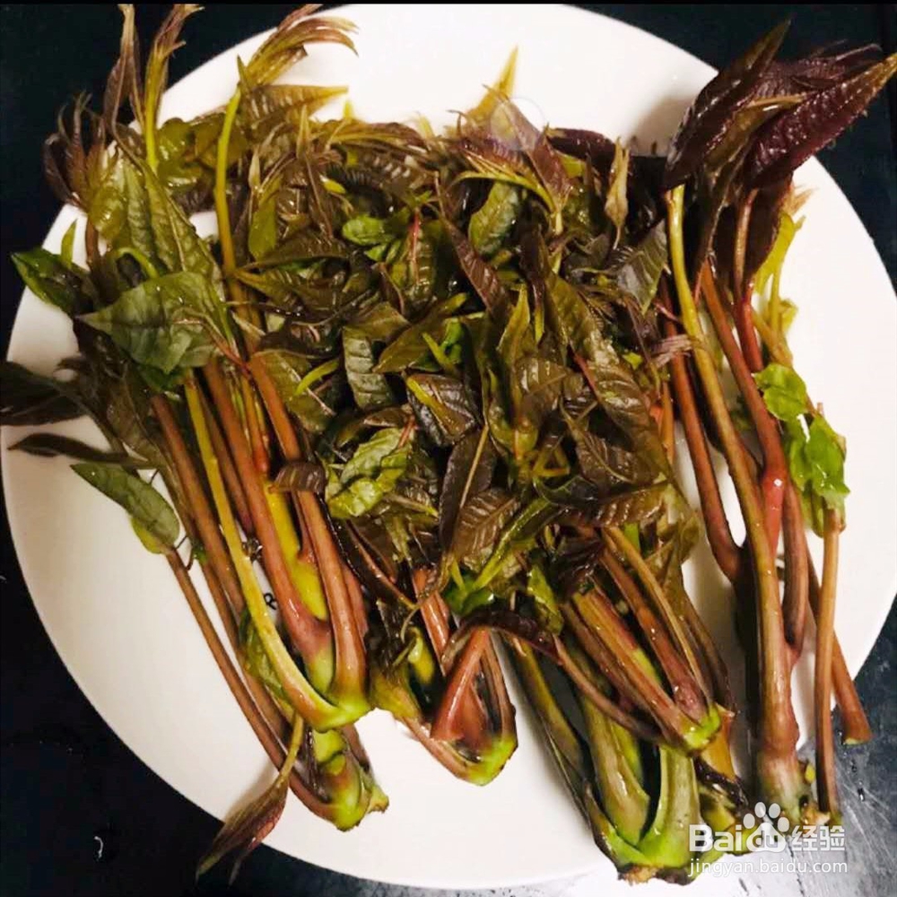 春季美味香椿炒蛋