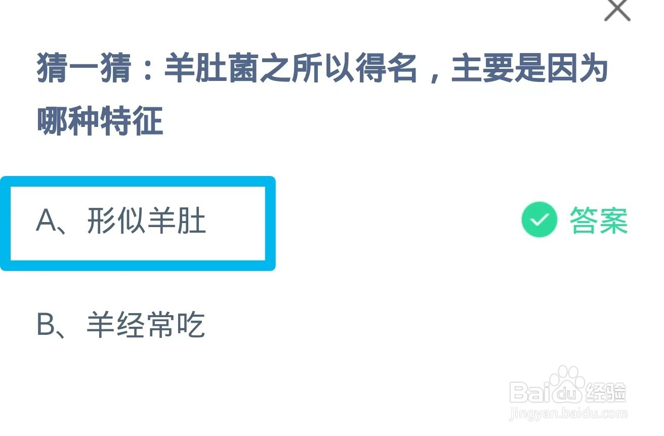 蚂蚁庄园2024.10.2：羊肚菌之所以得名