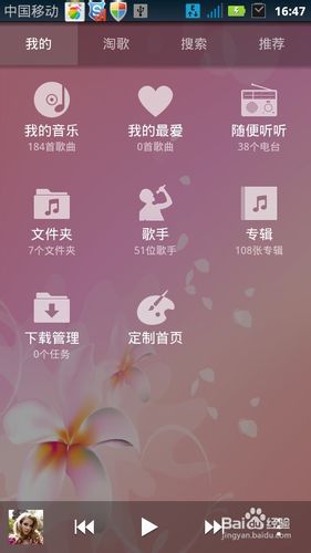 天天动听皮肤怎么安装