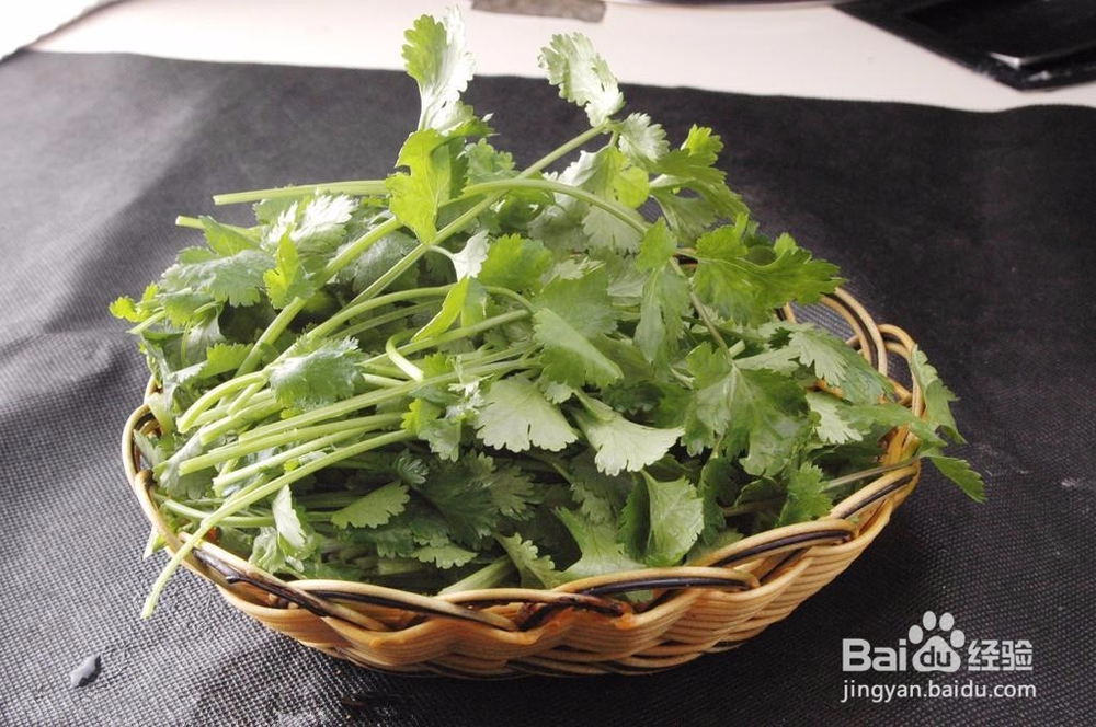 夏季怎么种植香菜？