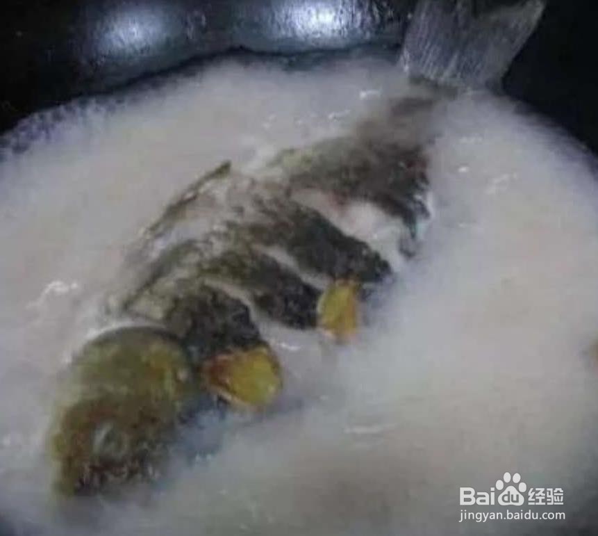 怎样做鲫鱼豆腐汤