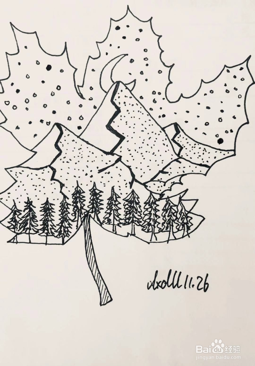 简笔画教程之叶子