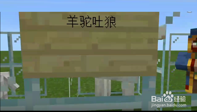 我的世界食物链谁被谁吃顺序