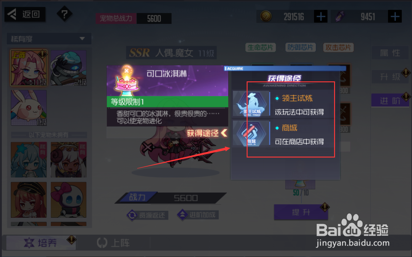 黑月手游宠物升级材料怎么获得