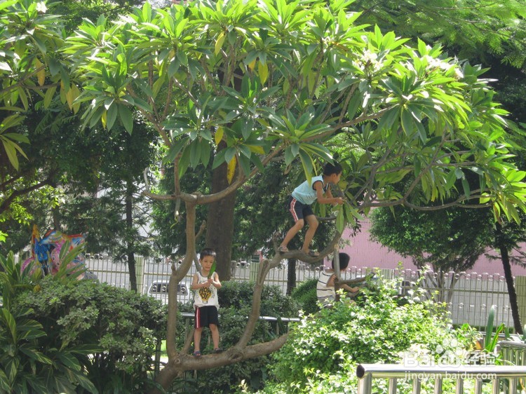 小孩十岁前应该做些什么事情