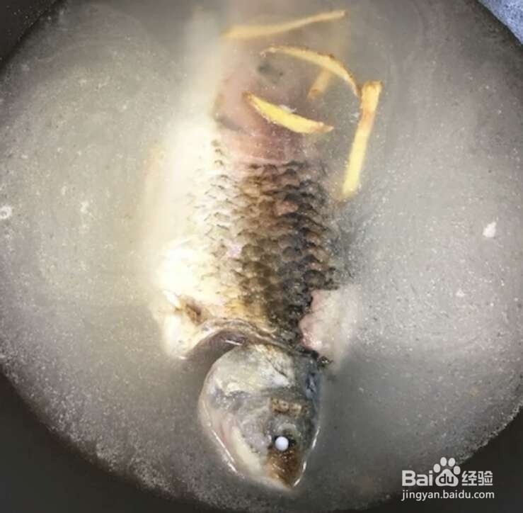 夏季养生食谱----紫菜鱼肉粥