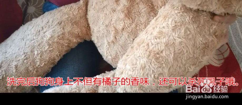 桔子皮的妙用