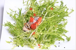 日月贝苦菊沙拉