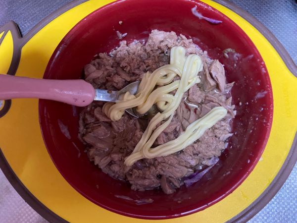 低脂金枪鱼轻食蔬菜沙拉