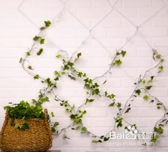 种植盆栽的小技巧