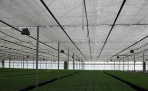 遮阳网覆盖技术在夏季蔬菜花卉生产上的应用