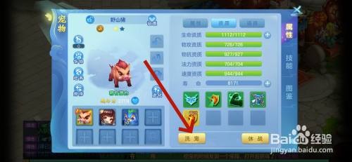 如何在梦想世界3中洗炼宠物