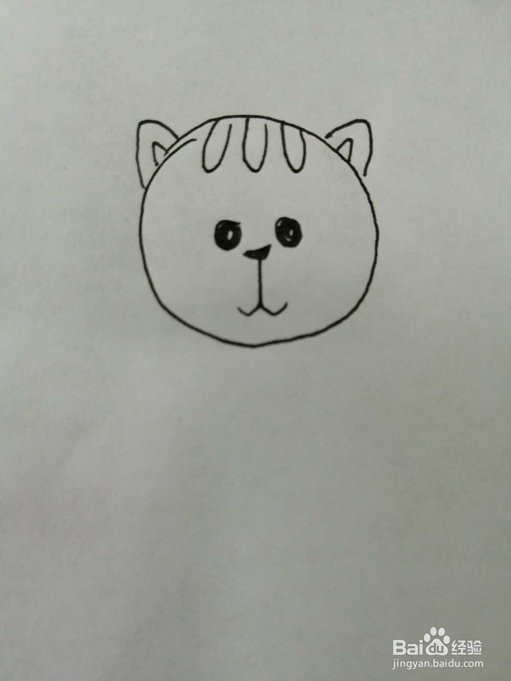 爱吃鱼的小猫咪怎么画