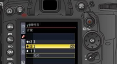 尼康16宫格辅助线怎么构图