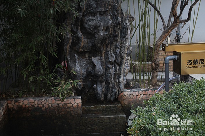 鱼池过滤系统，到底我们该如何选择？