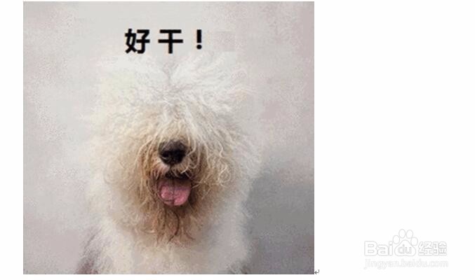 加湿器正在发射细菌你信吗？家用加湿器如何选购