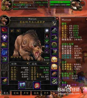 wow熊T怎么拉怪