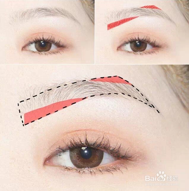 教你怎样画眉