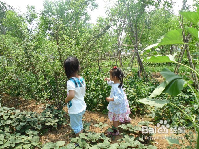 端午假期第二天