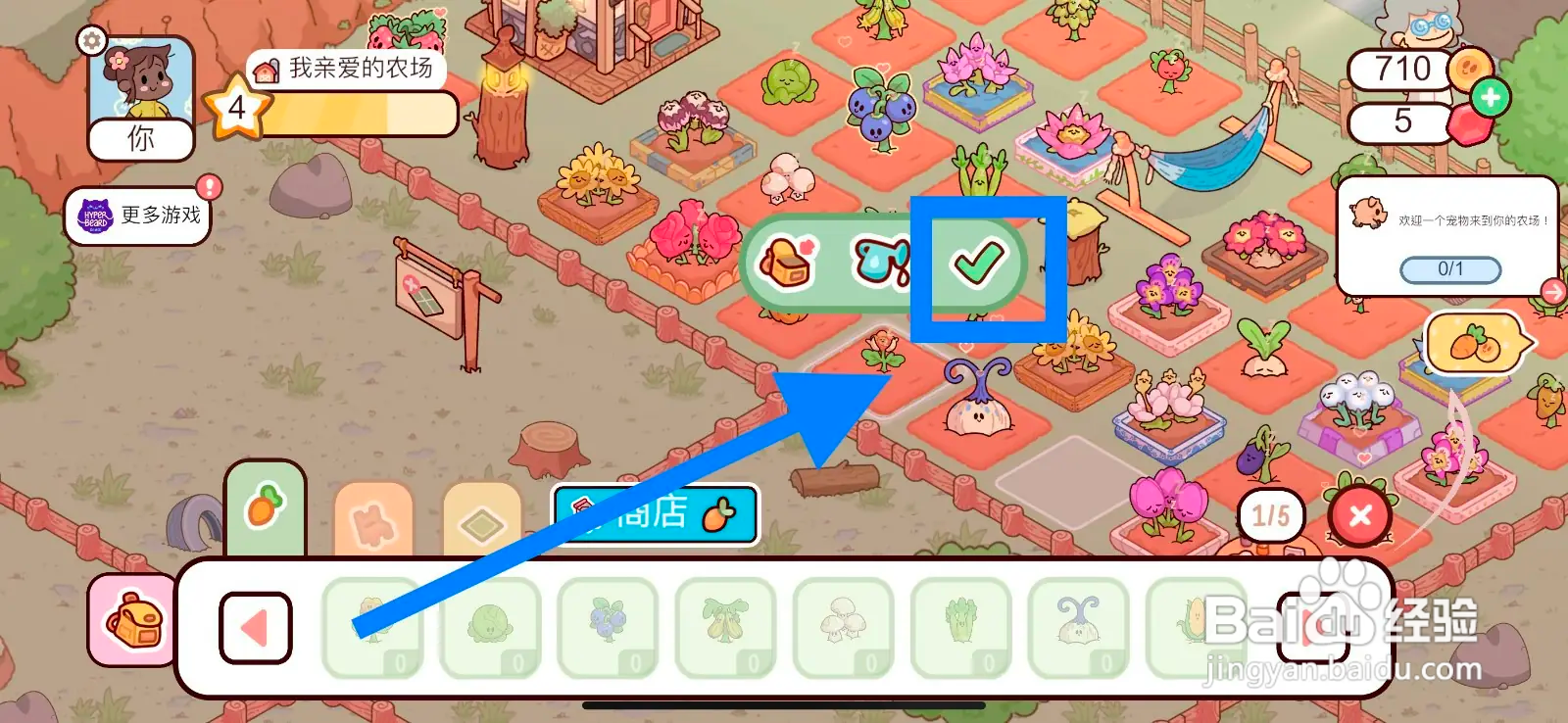 我亲爱的农场怎么在农场种植云莓？