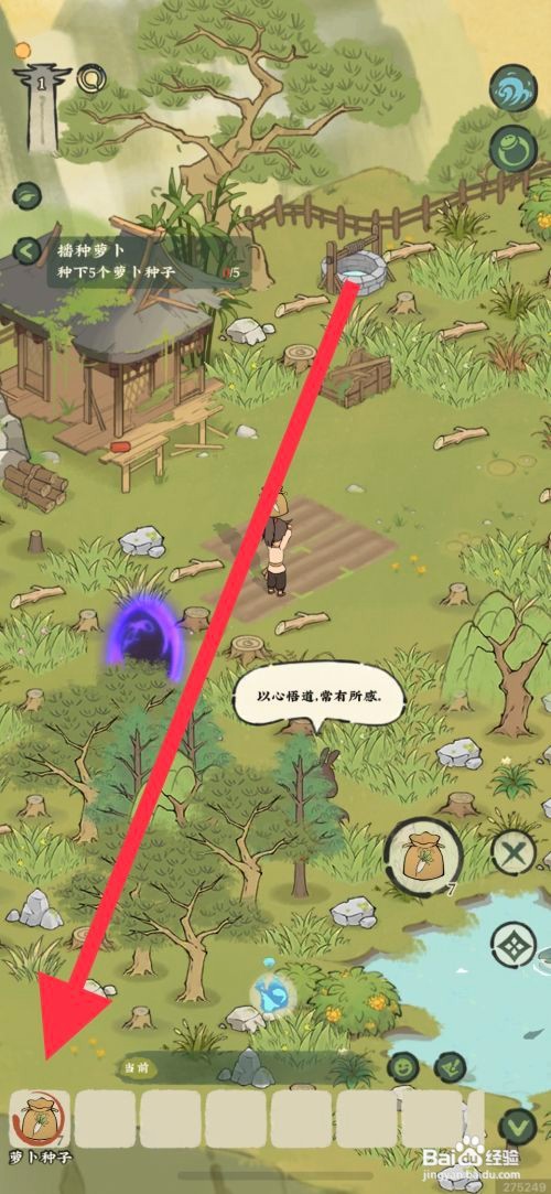 仙山小农怎么播种萝卜种子