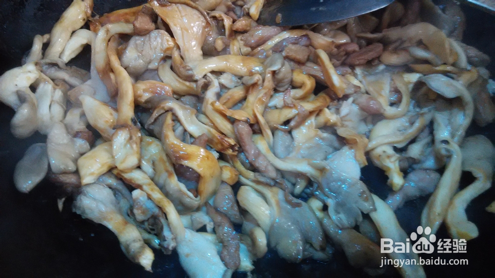 好吃的平菇炒肉做法