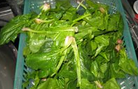 红根白菜焖大虾的做法