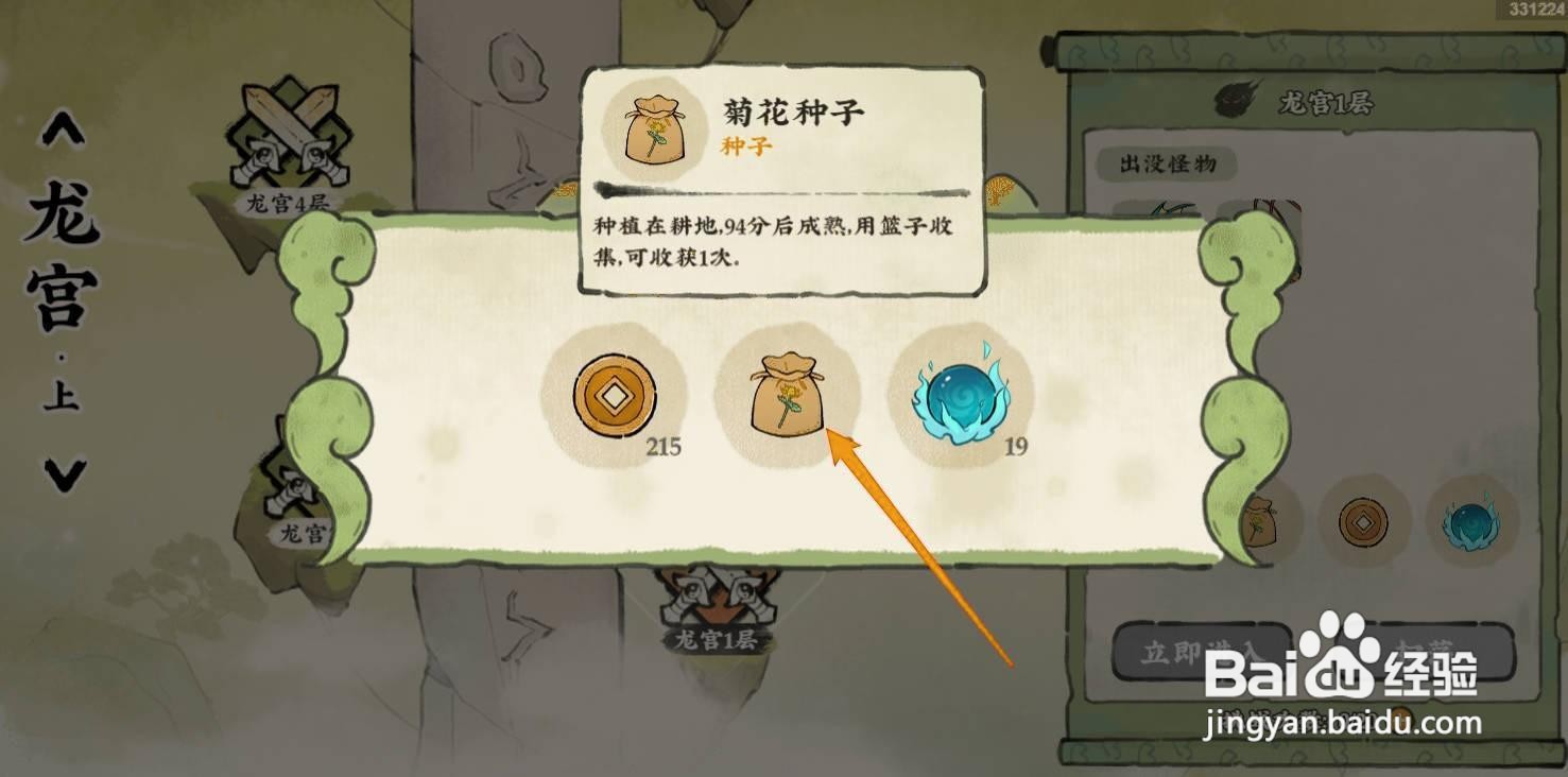 仙山小农菊花种子可以在哪里获得