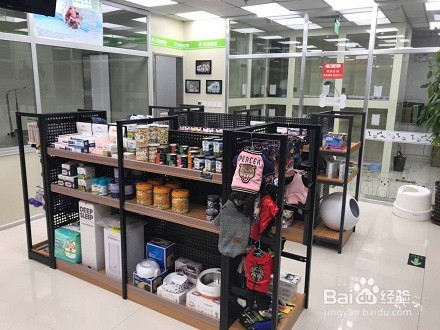 开家宠物店的注意事项