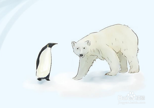 怎么画企鹅和北极熊