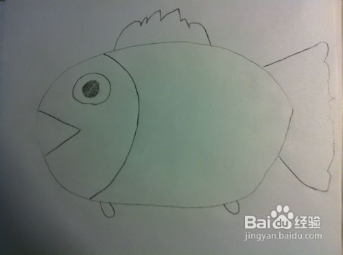教你画动物——小鱼