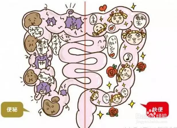 请别掉入清肠的陷井中