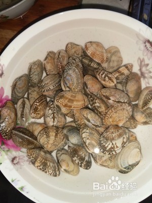 快手菜葱姜花蛤