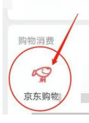京东财富岛入口在哪