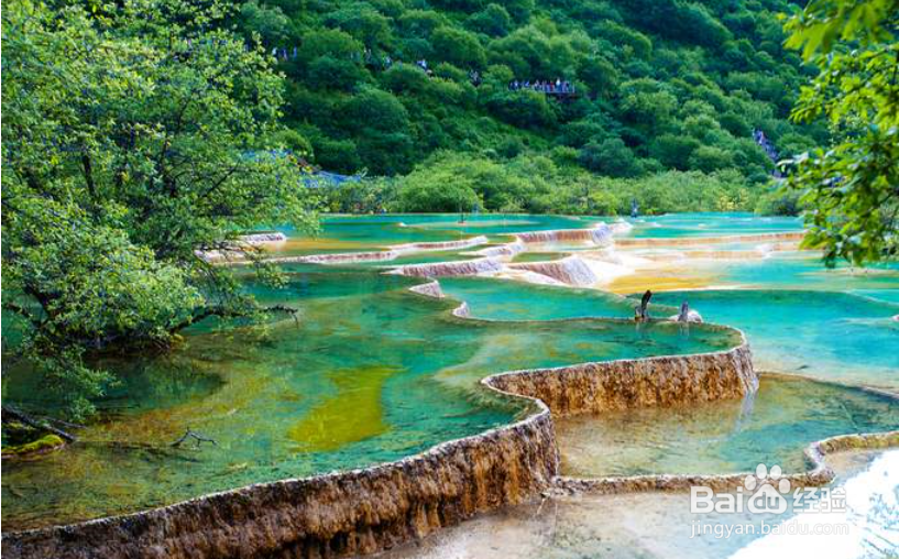 九寨沟散客怎么报团进