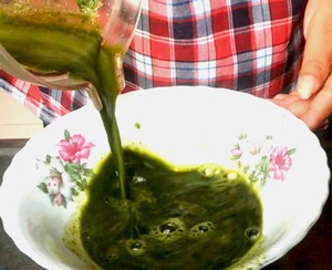 薄荷奶冻的做法