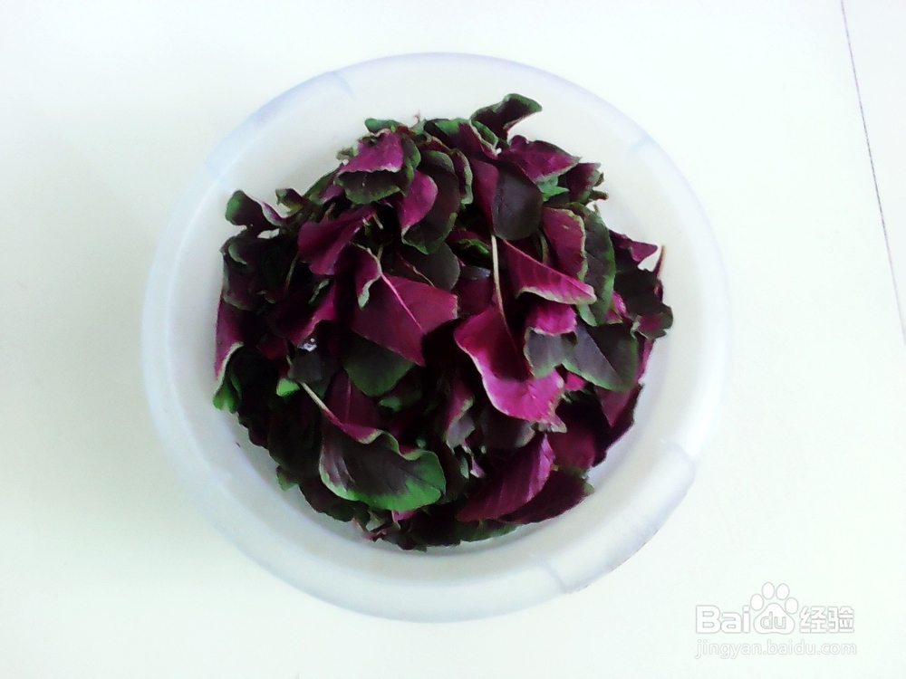苋菜怎么炒好吃