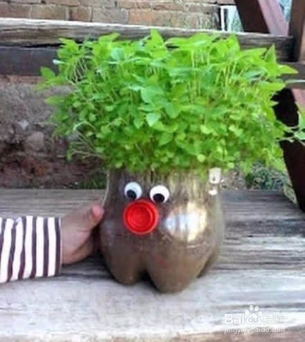 #环保达人#塑料瓶DIY花瓶。